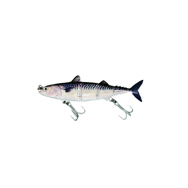 Goggle eye mackerel live bait fish hook tackle Stock Photo by ©lunamarina  5506125