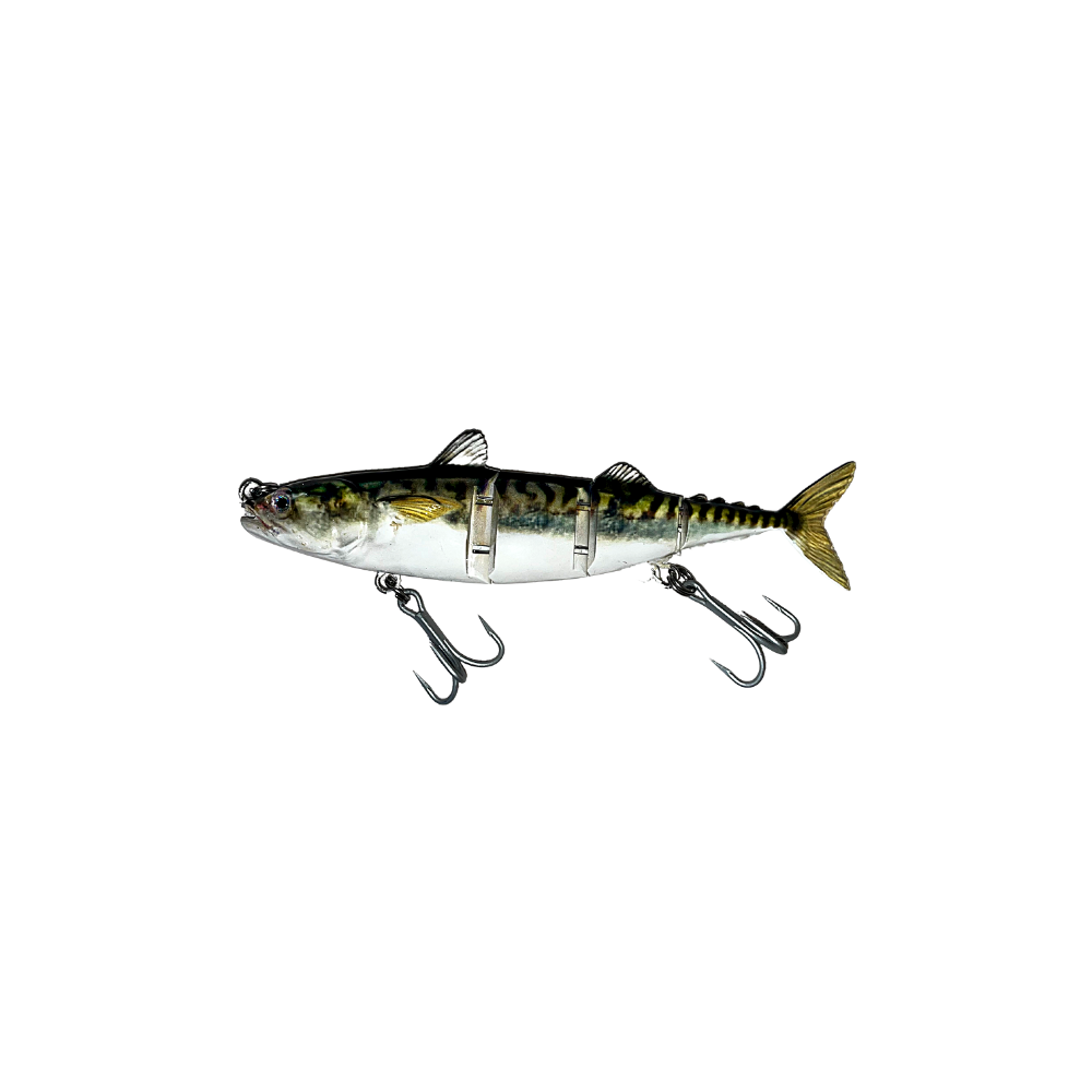 Goggle Eye Mackerel Live Bait Fish Stock Photo 56507407